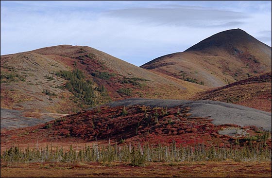 Environment Photograph