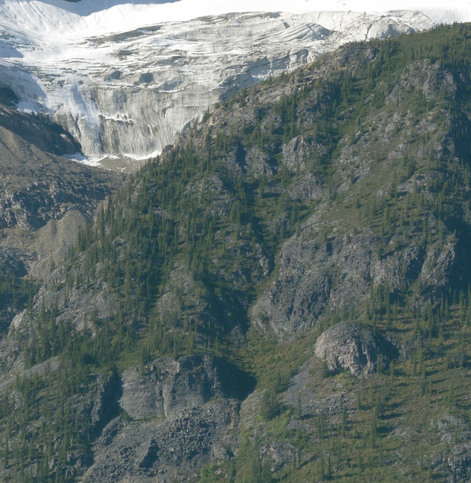 Digital Photograph Detail