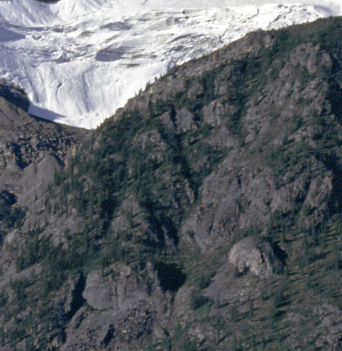 Film Photograph Detail